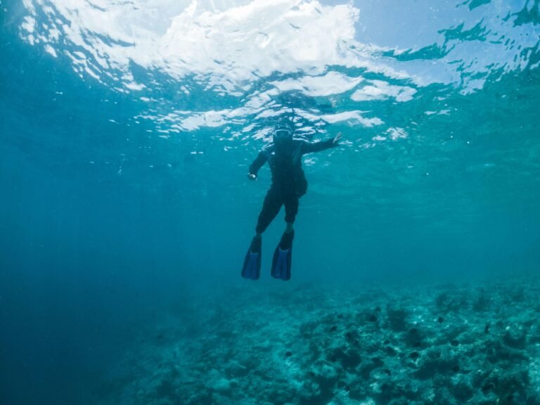 Full length anonymous person in snorkeling mask and flippers swimming in blue seawater near reefs
